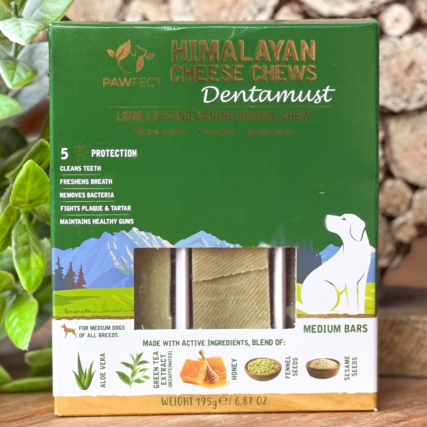 𝗗𝗲𝗻𝘁𝗮𝗺𝘂𝘀𝘁 𝗖𝗵𝗲𝗲𝘀𝗲 𝗖𝗵𝗲𝘄𝘀 𝘄𝗶𝘁𝗵 𝗔𝗹𝗼𝗲𝗩𝗲𝗿𝗮