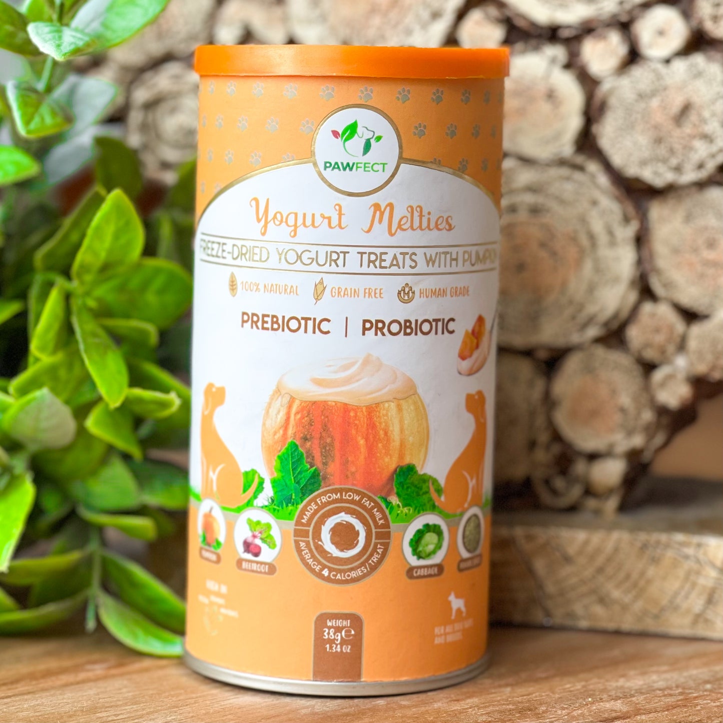𝗗𝗼𝗴𝗴𝘆 𝗬𝗼𝗴𝘂𝗿𝘁 𝗠𝗲𝗹𝘁𝗶𝗲𝘀 𝗪𝗶𝘁𝗵 𝗣𝘂𝗺𝗽𝗸𝗶𝗻, 𝗕𝗲𝗲𝘁𝗿𝗼𝗼𝘁, 𝗖𝗮𝗯𝗯𝗮𝗴𝗲 & 𝗙𝗲𝗻𝗻𝗲𝗹 𝗦𝗲𝗲𝗱𝘀