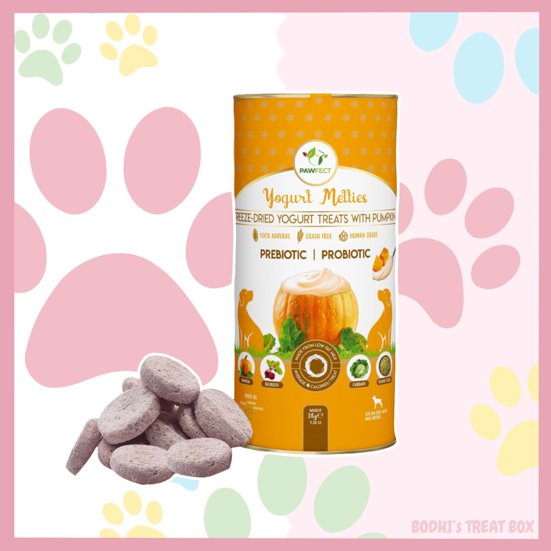 🎃 | Pawfect Nature Pumpkin Yogurt Melties