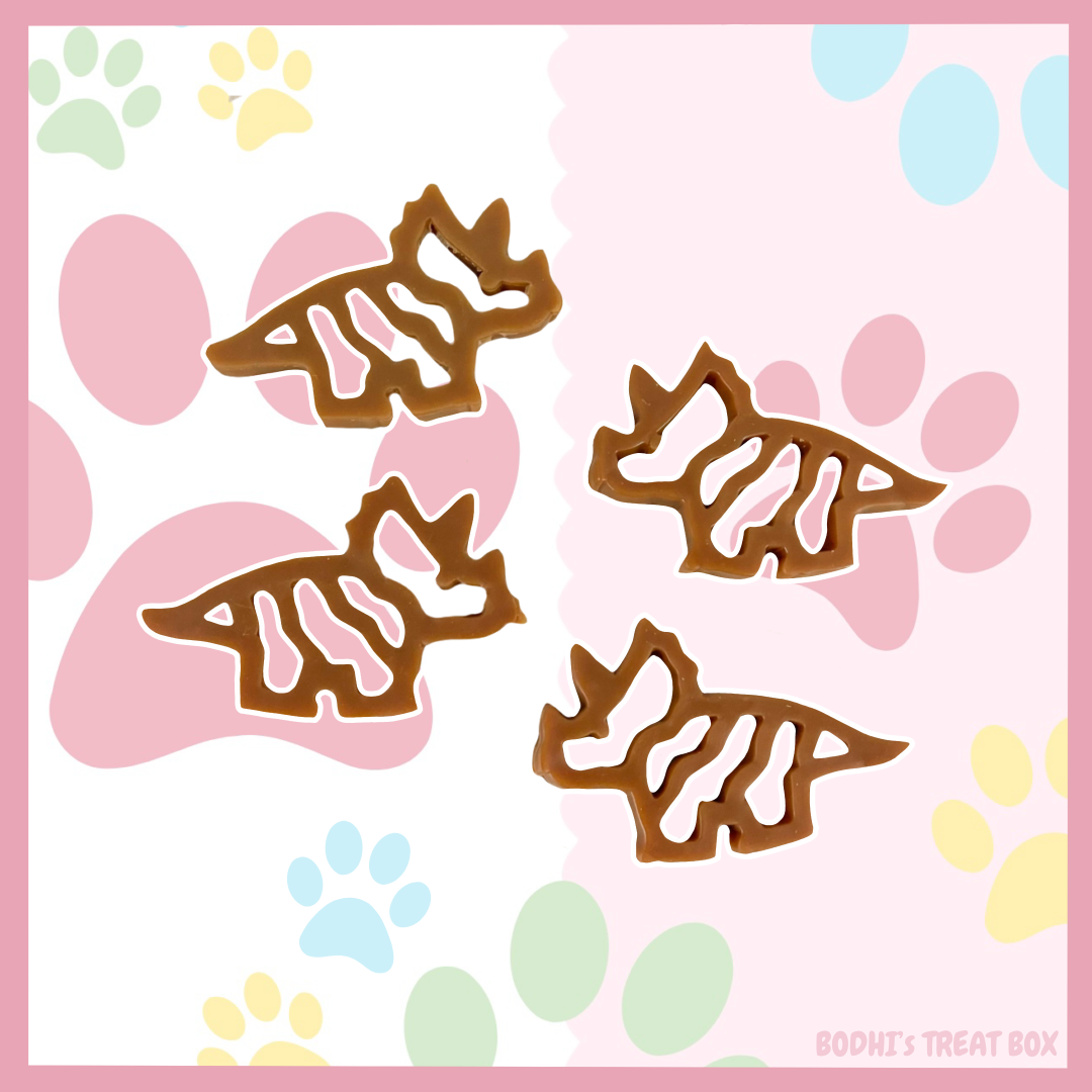 🦕 | Chicken Dino Chew