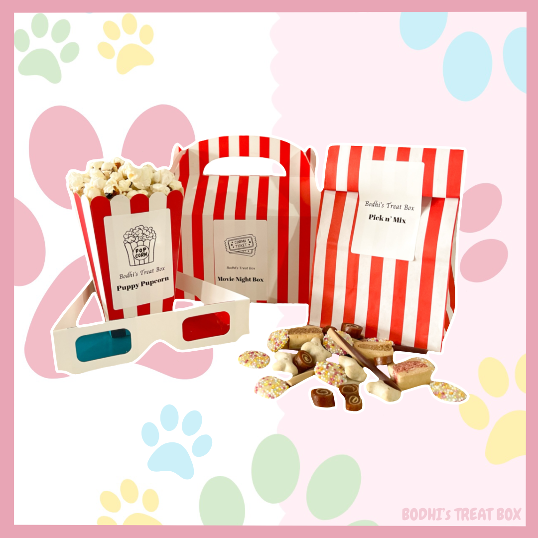 🎬🍿 | Bodhi’s Movie Night Box