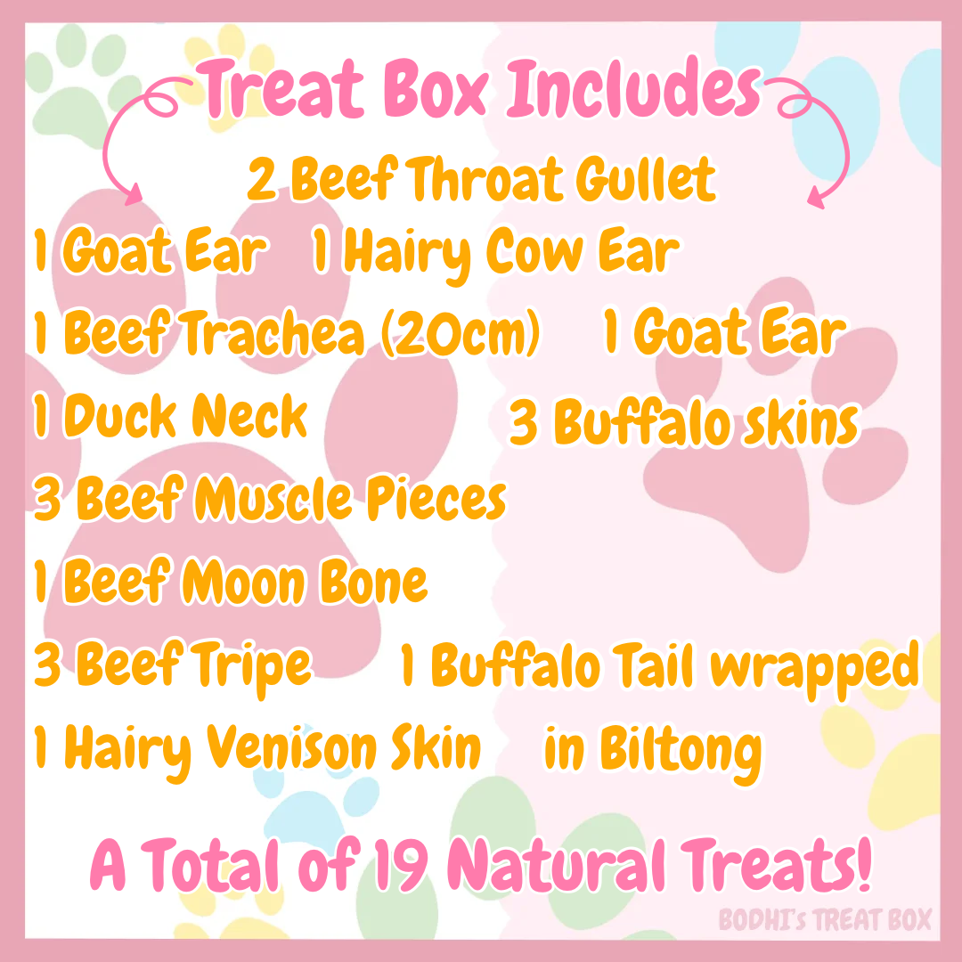 💝 | ‘The Chubby Puppy’ Low-in-Fat Natural Dog Treat Box - (Includes 19 Treats)