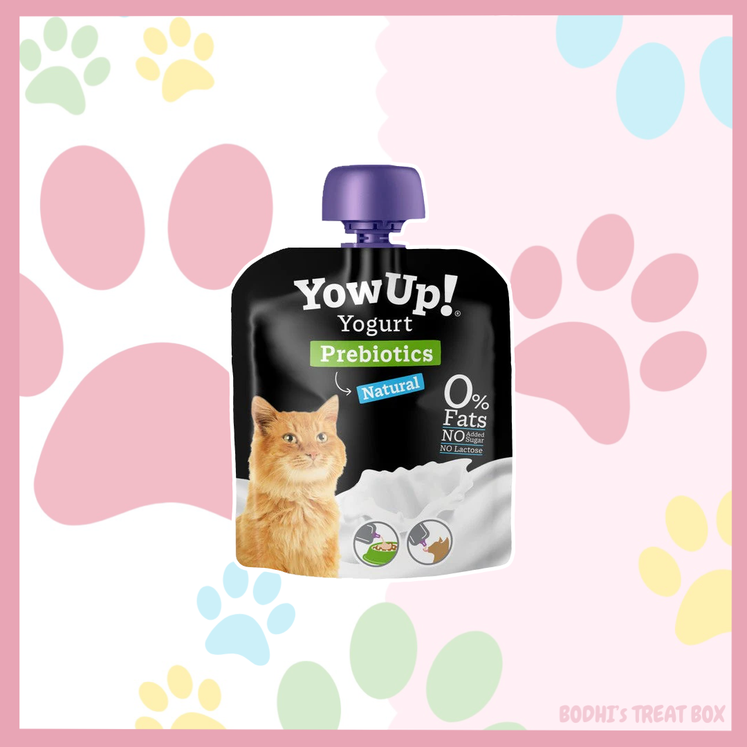 🐱 | YowUp! Natural Prebiotic Cat Yogurt
