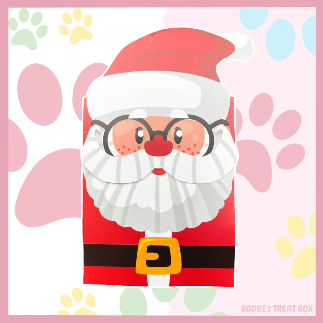 Santa Goodie Bag 🎄| Dog & Cat Options Available!