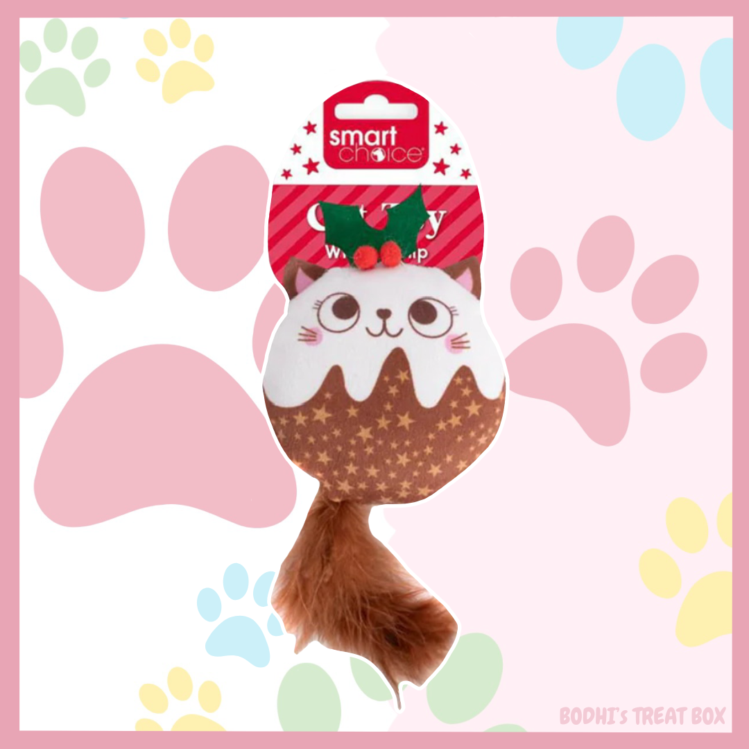 Christmas Pudding ๐| Crinkly Catnip Cat Toy