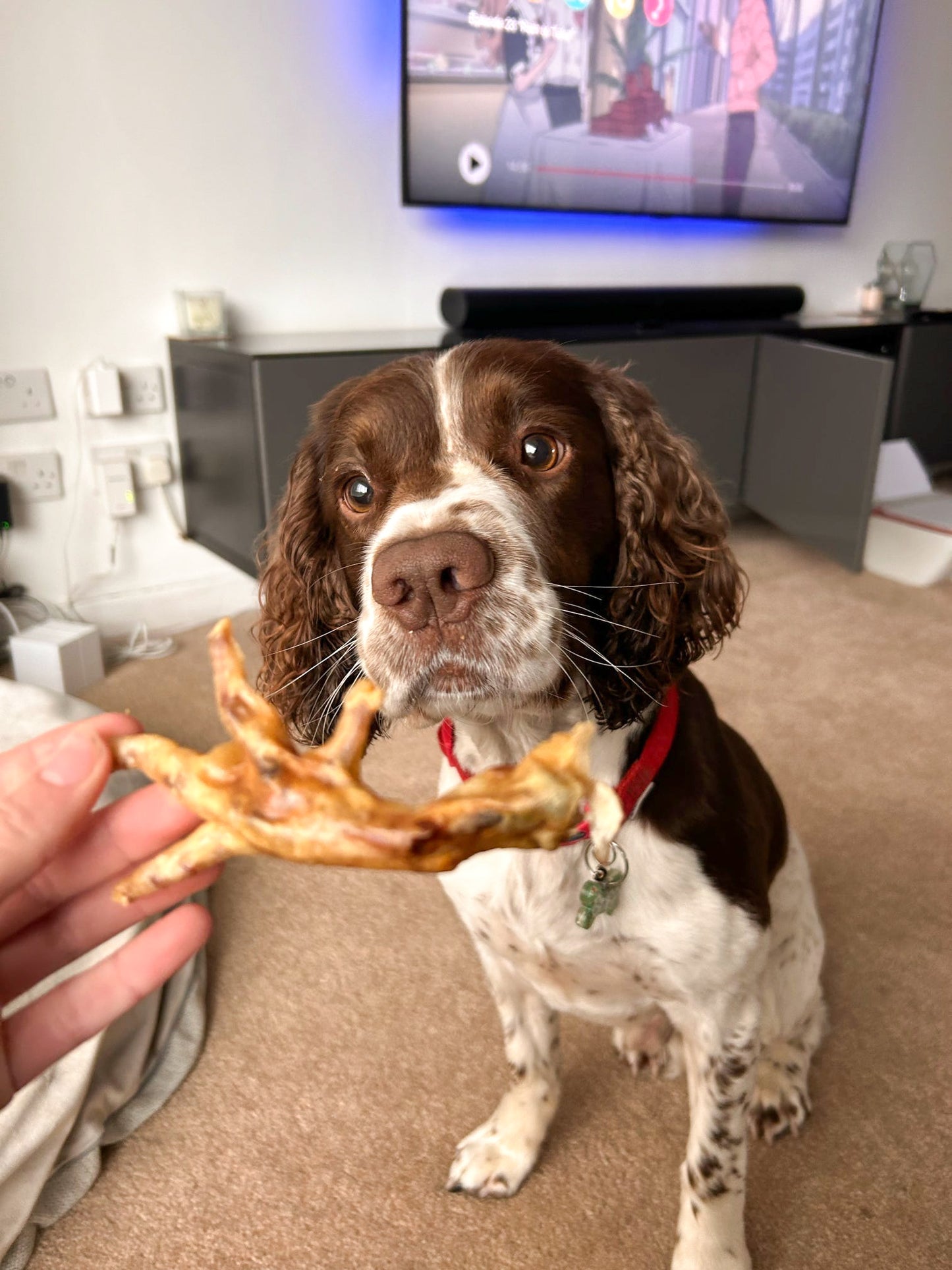 ๐ฅ | Chicken Feet