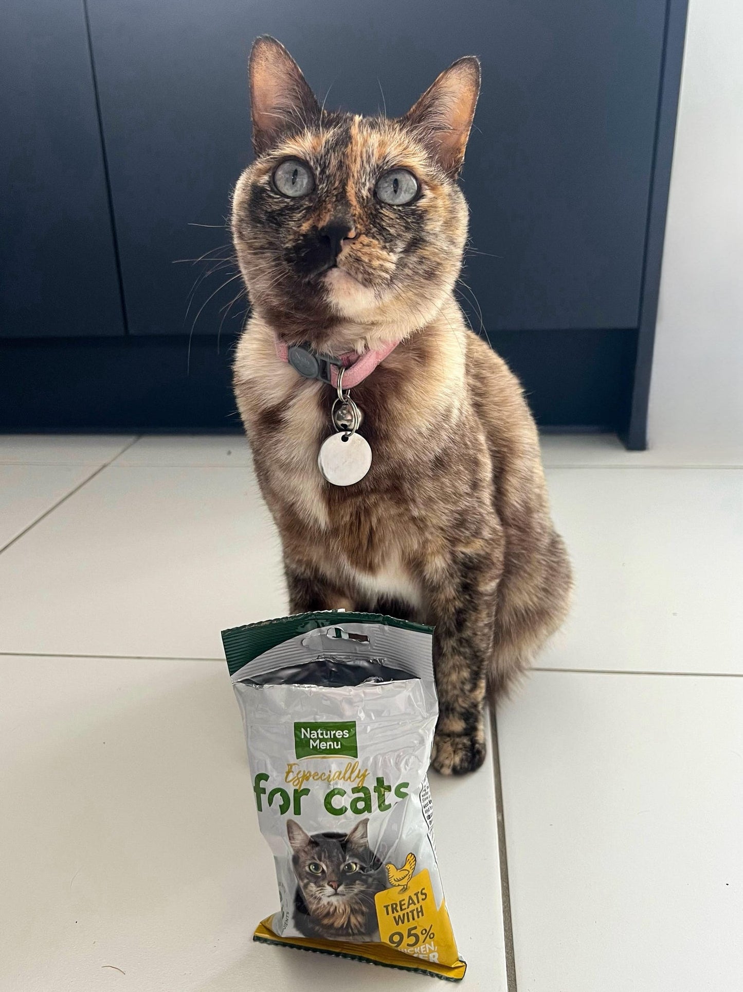 🐥 | Natures Menu Chicken Liver & Pork Treats