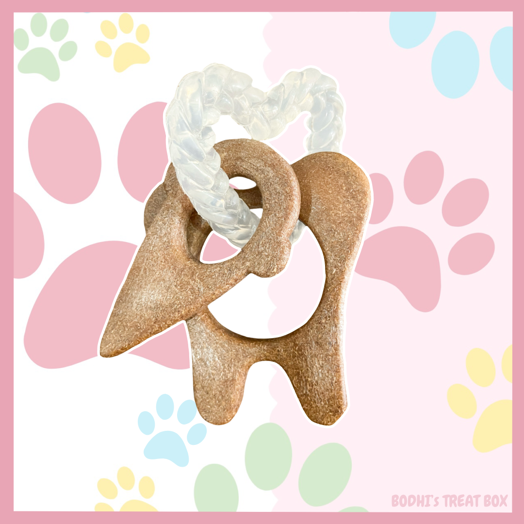 🎋 | Bamboo Dental Chew Toys