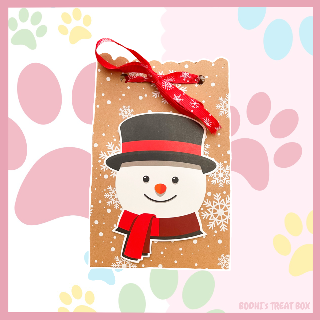 Snowman Goodie Bag 🎄| Dog & Cat options available