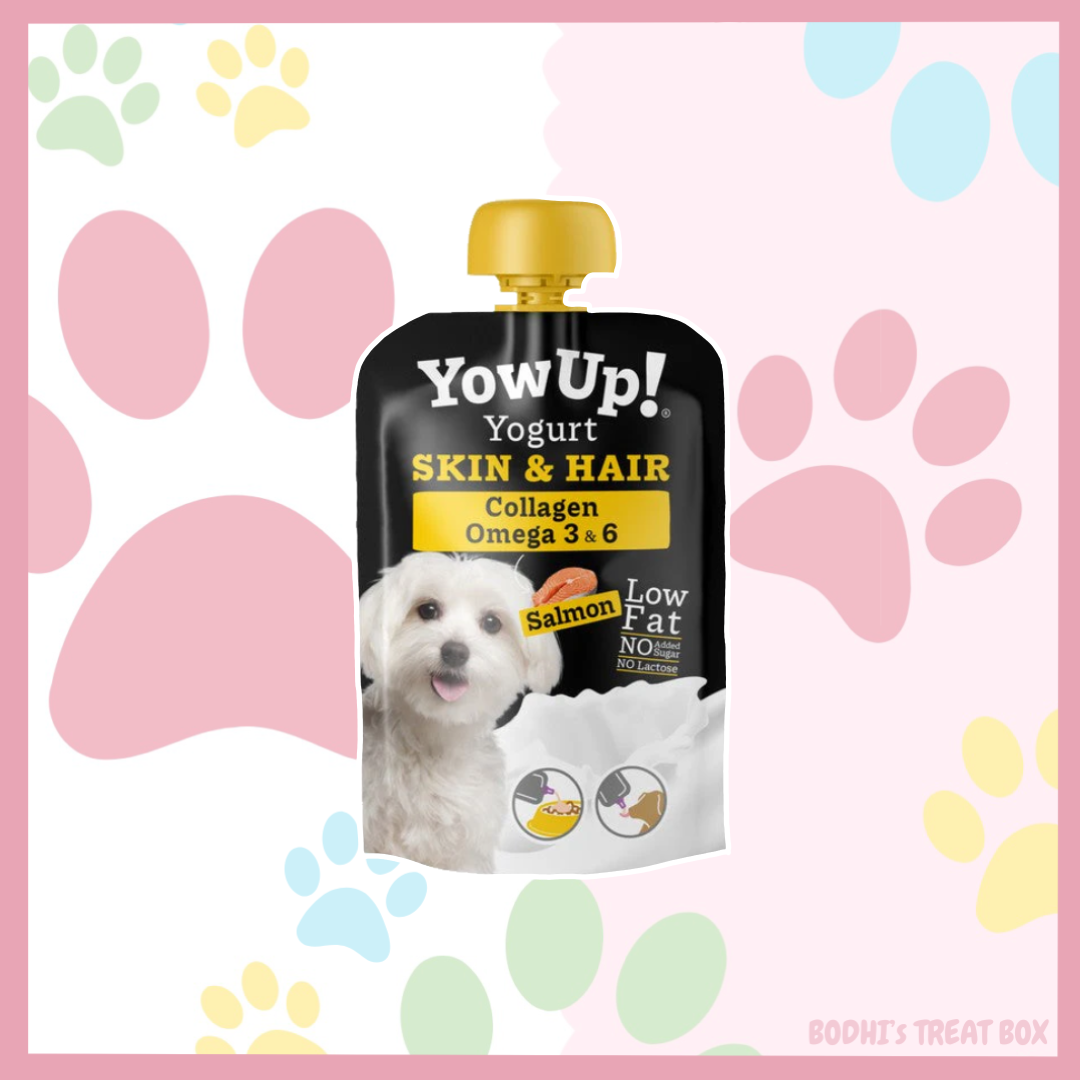 🐶 | YowUp! Natural Skin & Hair Salmon Yogurt