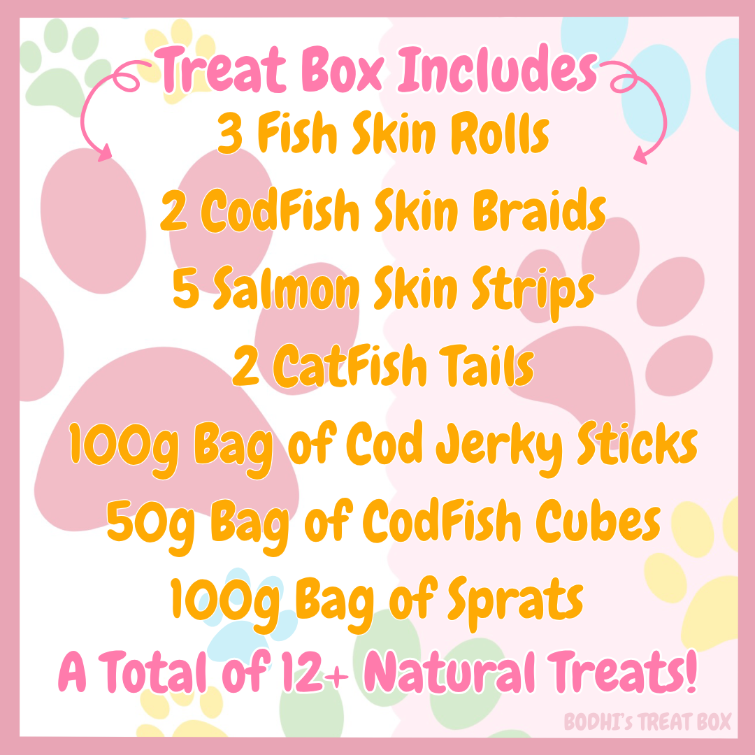 💝 | ‘The Big Fish’ Natural Dog Treat Box - (Includes 12 Treats + Treat Bags)