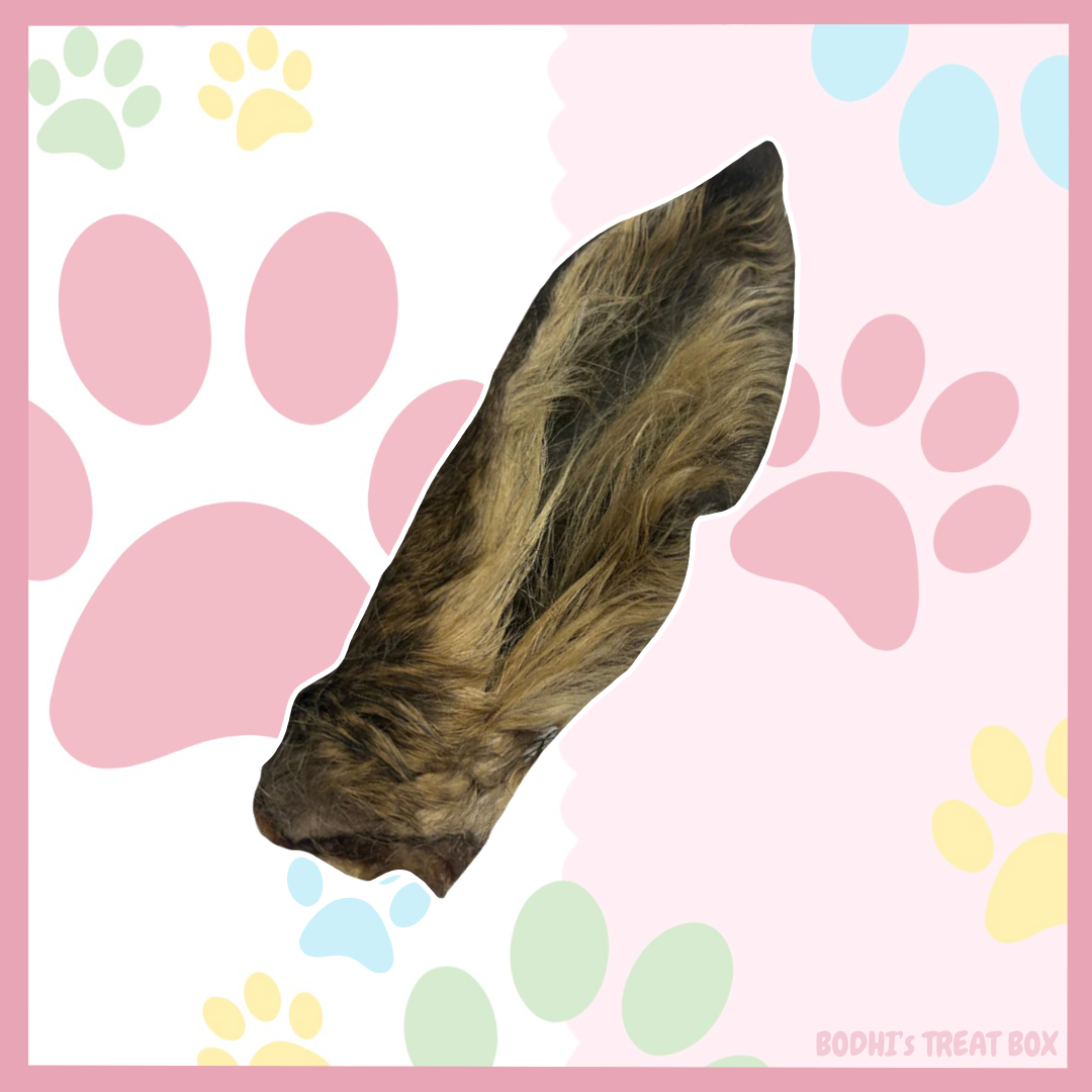 ๐ฆ | Hairy Roe Deer Ears
