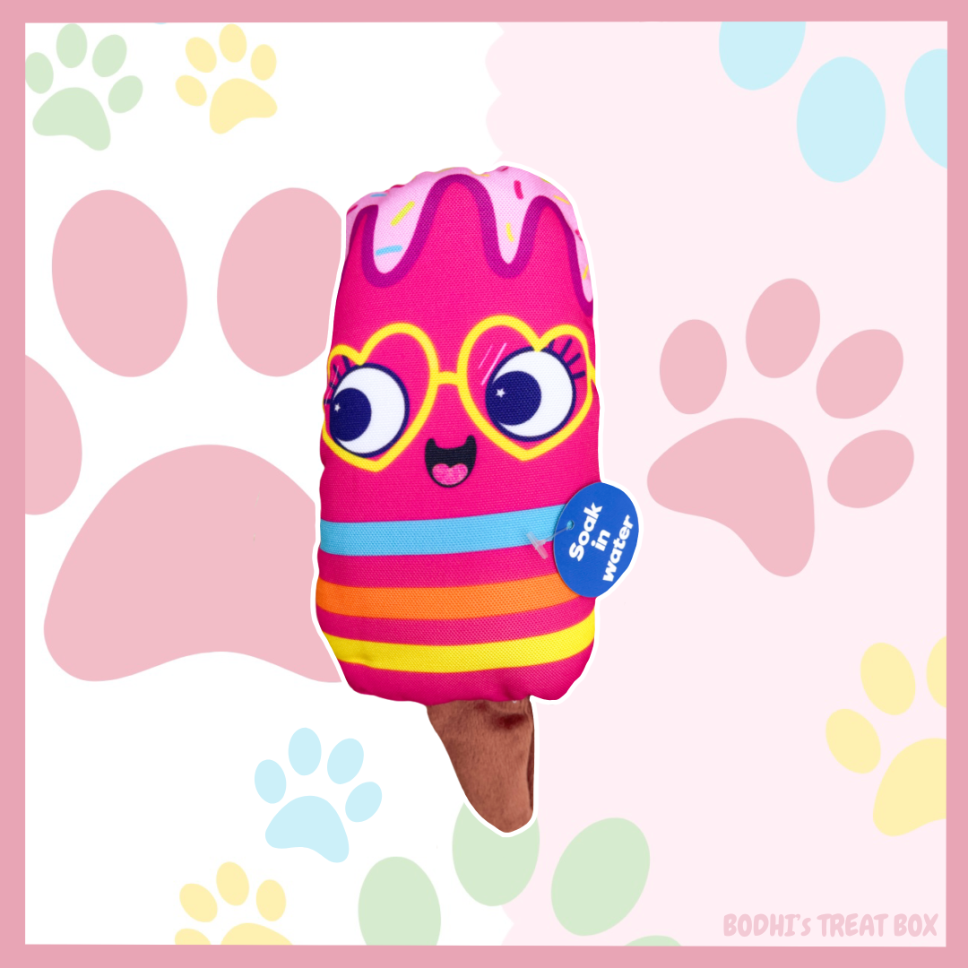 🐶💦 | Leila the IceLolly - Hydrating Squeaky Dog Toy