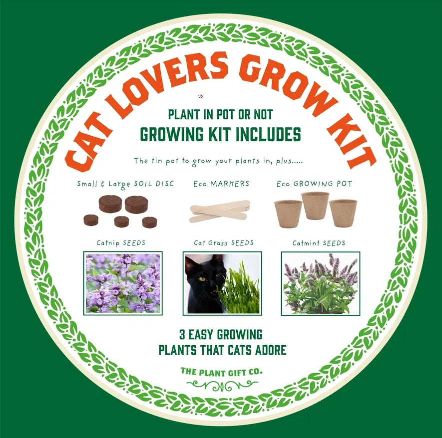 𝗣𝘂𝗿𝗿𝗿𝗳𝗲𝗰𝘁 𝗧𝗿𝗲𝗮𝘁 𝗘𝗰𝗼 𝗙𝗿𝗶𝗲𝗻𝗱𝗹𝘆 𝗚𝗿𝗼𝘄 𝗬𝗼𝘂𝗿 𝗢𝘄𝗻 𝗖𝗮𝘁-𝗙𝗿𝗶𝗲𝗻𝗱𝗹𝘆 𝗚𝗿𝗼𝘄 𝗧𝗶𝗻 𝗞𝗶𝘁