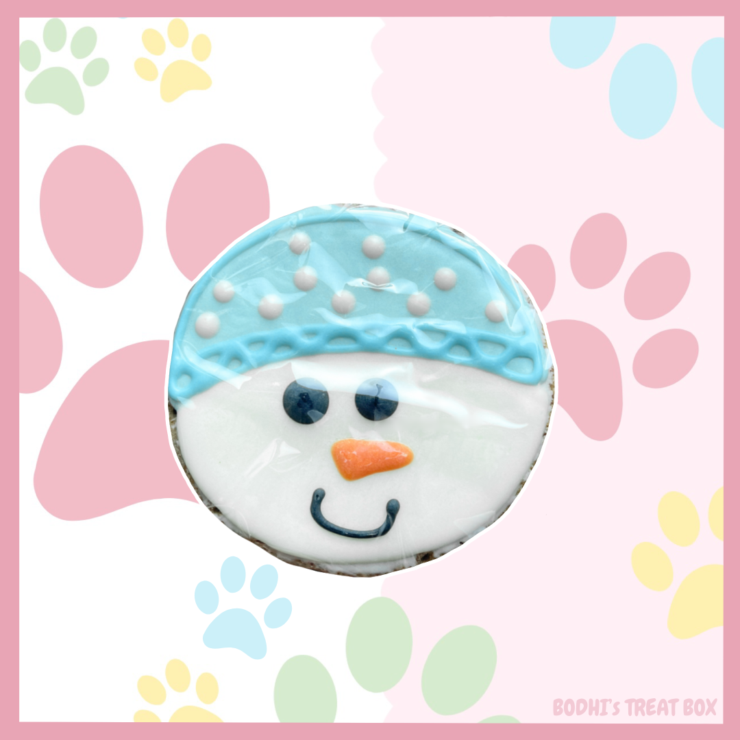 Large ‘Frosty the Snowman’ Iced Biscuit 🎄| Nelson’s Treats