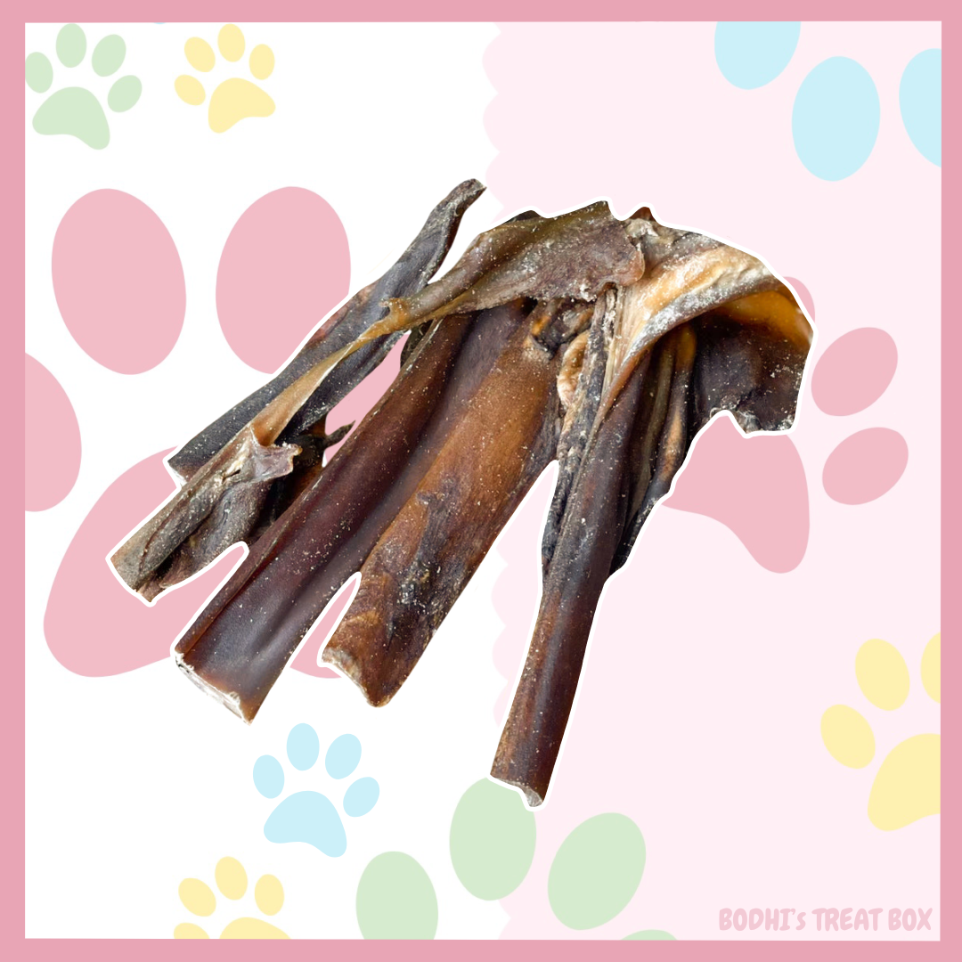 ๐ซ | Camel Skin Chews