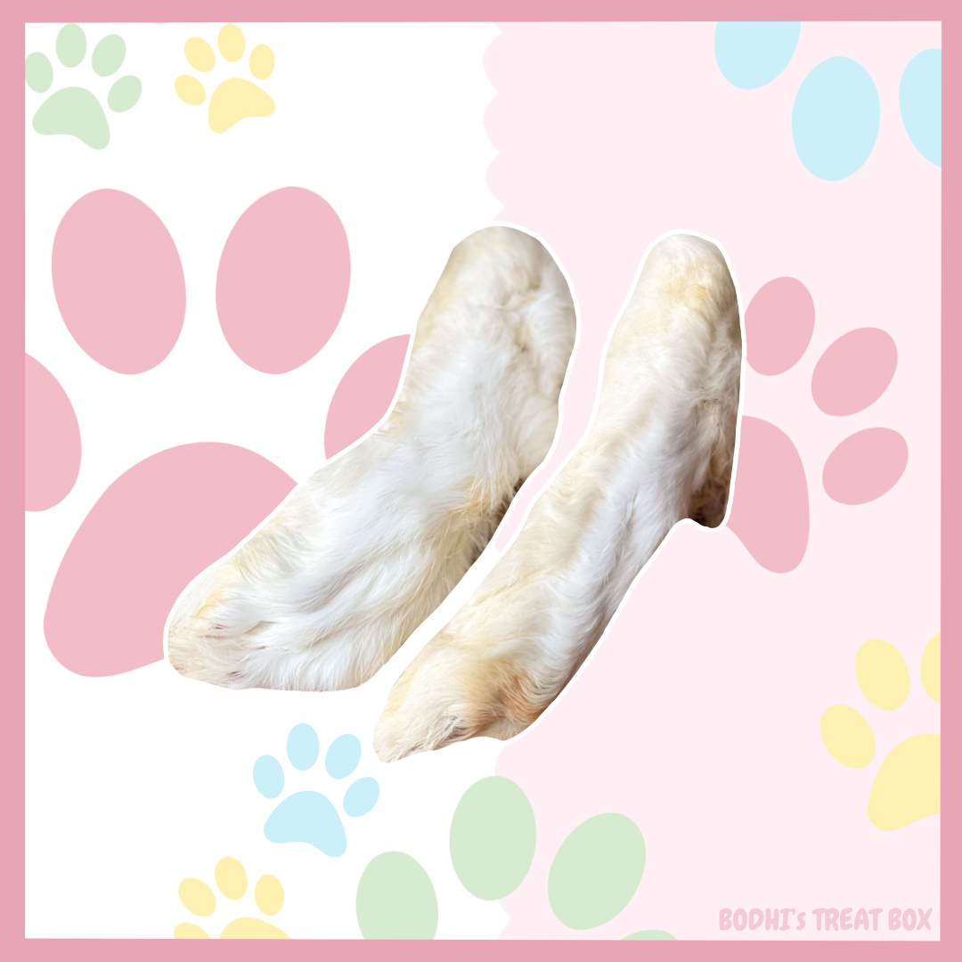 ๐ฐ | Hairy Rabbit Feet