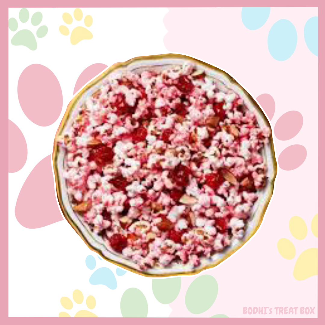 Bodhi’s Christmas Cranberry Popcorn 🎄