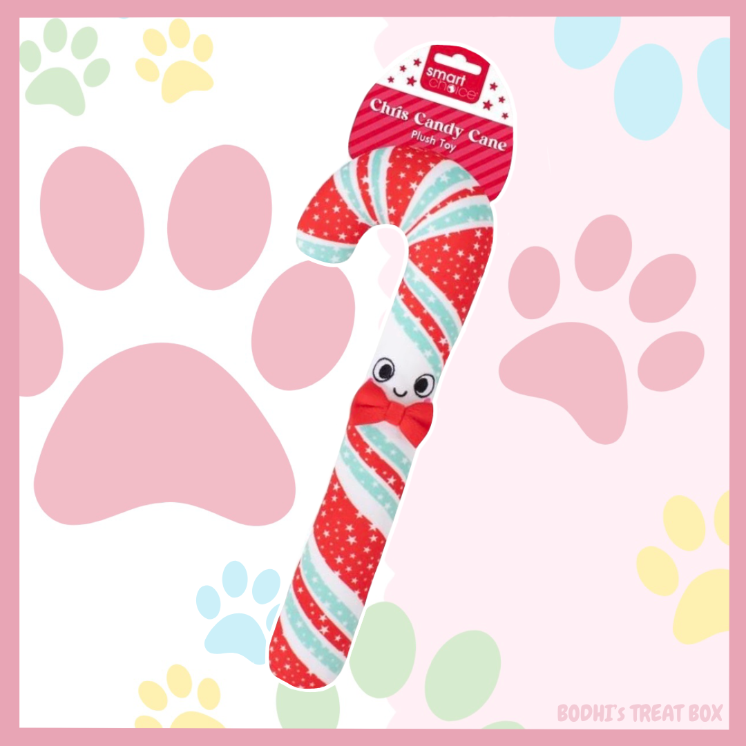 Chris the Candy Cane 🎄| Large Squeaky Plush Dog Toy
