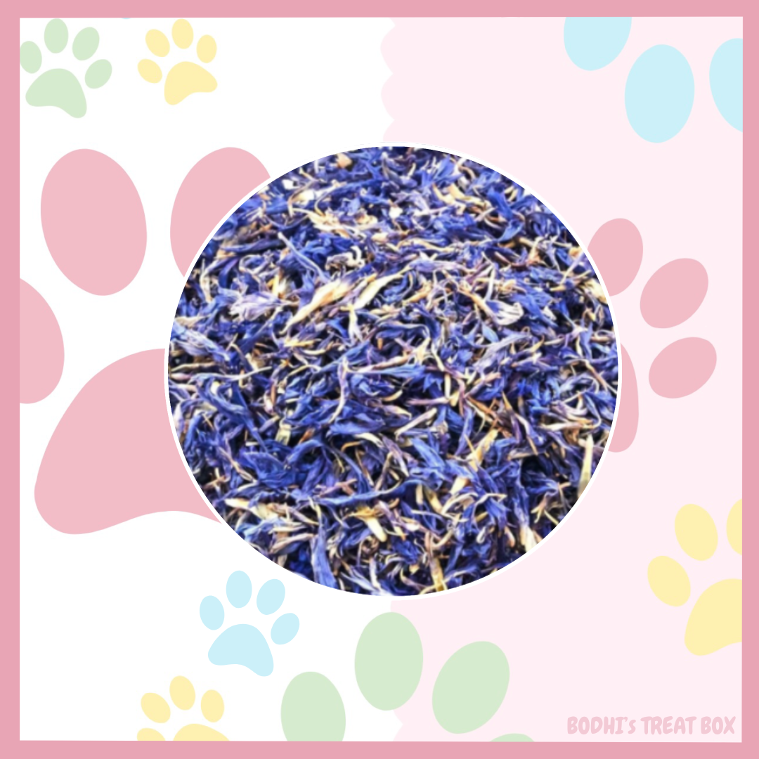 💛 | Cornflowers - 25g Bag