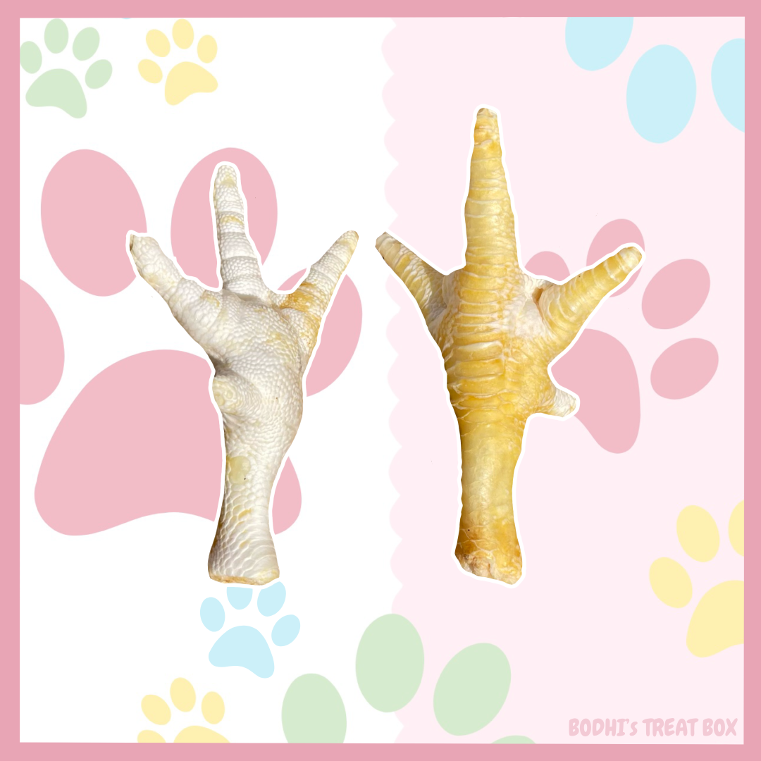 BULK BUYS | Puffed Chicken Feet 250g