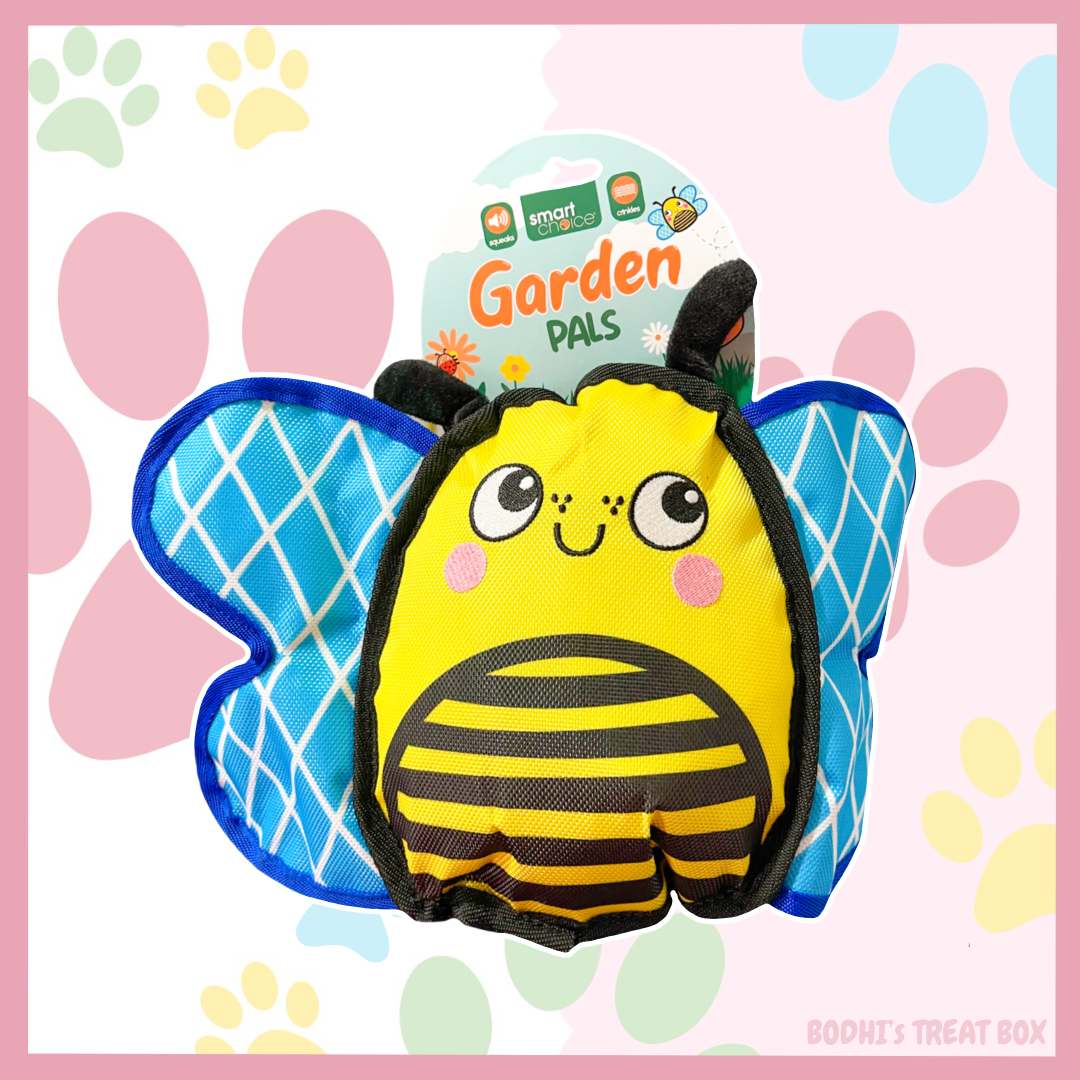 🦋 | Garden Pals Butterfly - Large Squeaky & Crinky Dog Toy