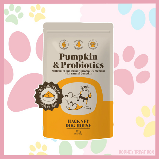 🐶 | Hackneys Dog House Pumpkin with Probiotics