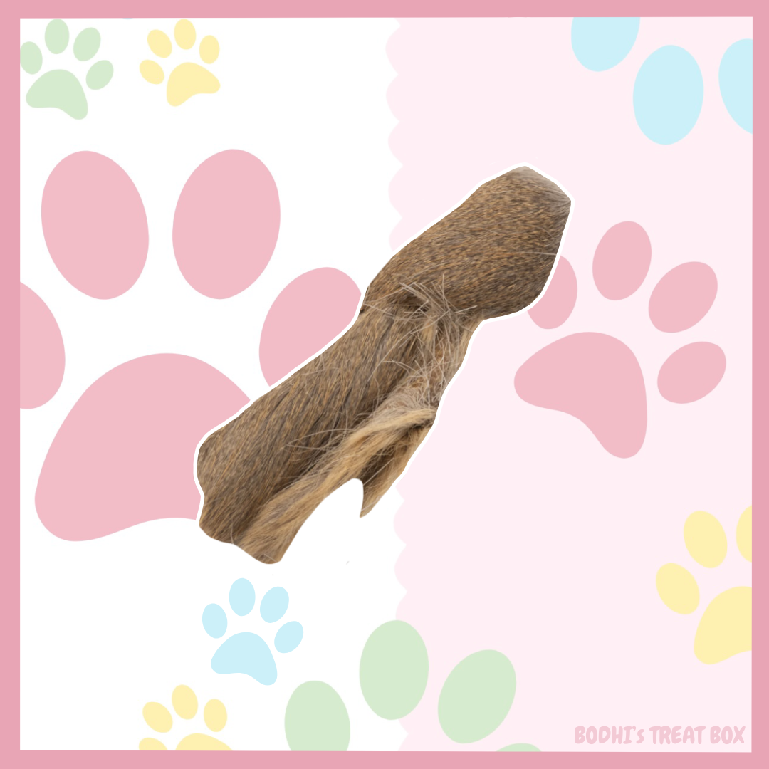 🦌 | Hairy Venison Deer Skins