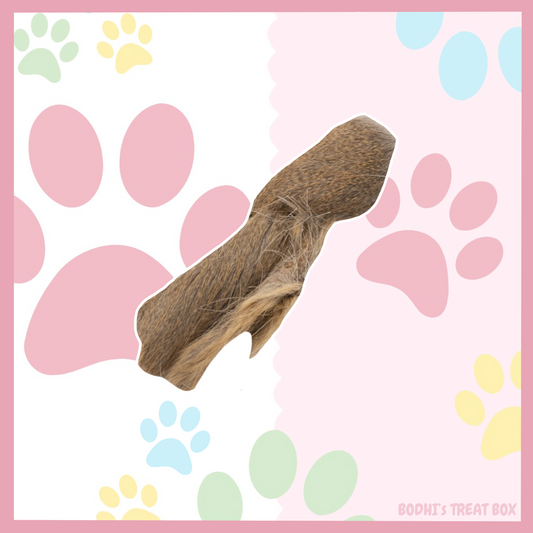 🦌 | Hairy Venison Deer Skins