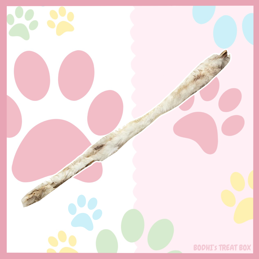 🐰 | Hairy Rabbit Skins