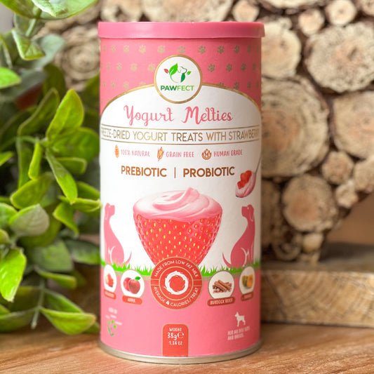 𝗗𝗼𝗴 𝗬𝗼𝗴𝘂𝗿𝘁 𝗠𝗲𝗹𝘁𝗶𝗲𝘀 -  𝗦𝘁𝗿𝗮𝘄𝗯𝗲𝗿𝗿𝗶𝗲𝘀, 𝗔𝗽𝗽𝗹𝗲, 𝗕𝘂𝗿𝗱𝗼𝗰𝗸 𝗥𝗼𝗼𝘁 & 𝗣𝗮𝗽𝗮𝘆𝗮