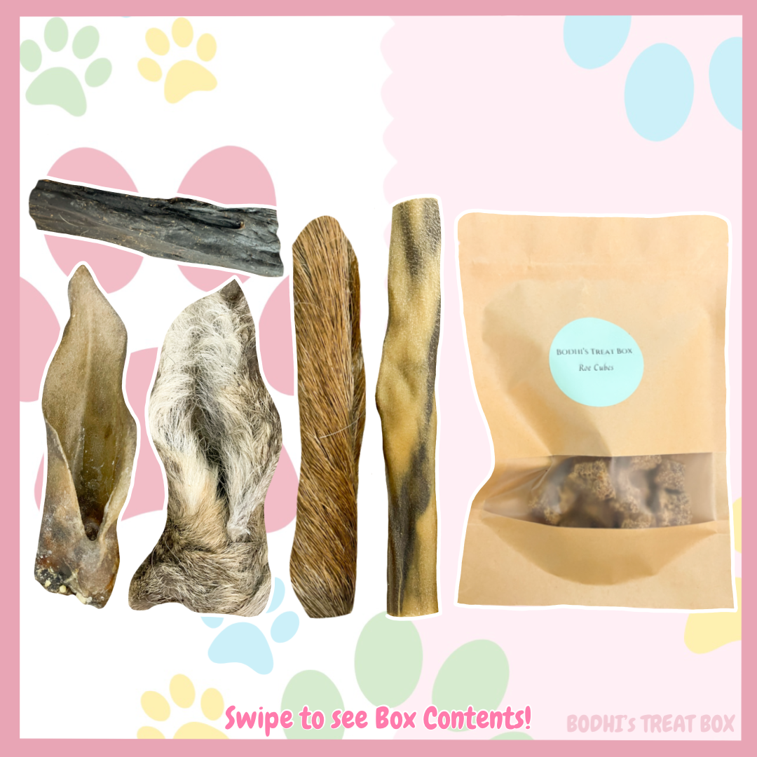 💝 | Venison Deer Box Natural Treat Bundle - (11+ Treats)