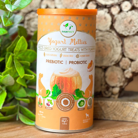 𝗗𝗼𝗴𝗴𝘆 𝗬𝗼𝗴𝘂𝗿𝘁 𝗠𝗲𝗹𝘁𝗶𝗲𝘀 𝗪𝗶𝘁𝗵 𝗣𝘂𝗺𝗽𝗸𝗶𝗻, 𝗕𝗲𝗲𝘁𝗿𝗼𝗼𝘁, 𝗖𝗮𝗯𝗯𝗮𝗴𝗲 & 𝗙𝗲𝗻𝗻𝗲𝗹 𝗦𝗲𝗲𝗱𝘀