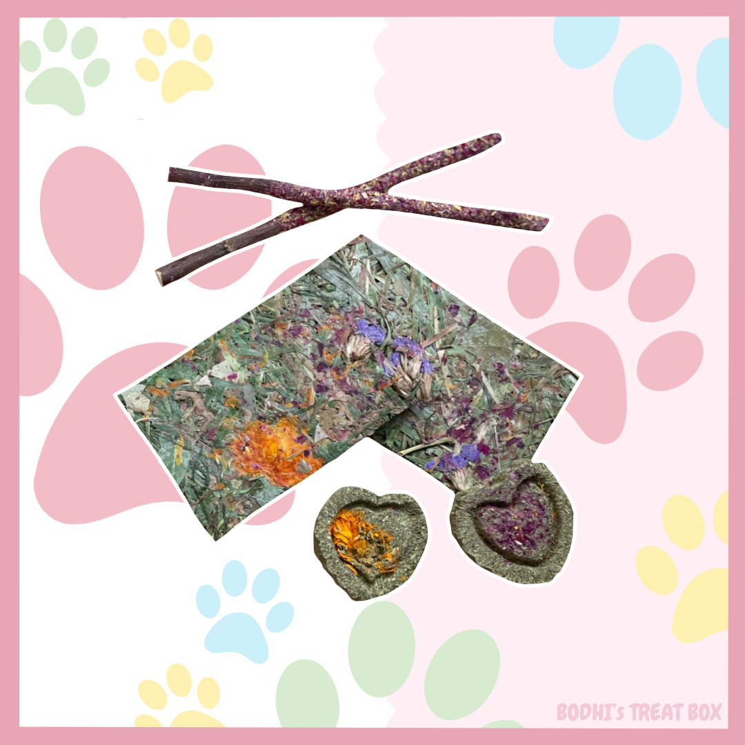 💛 | ‘Tiny Paws’ Goodie Bag