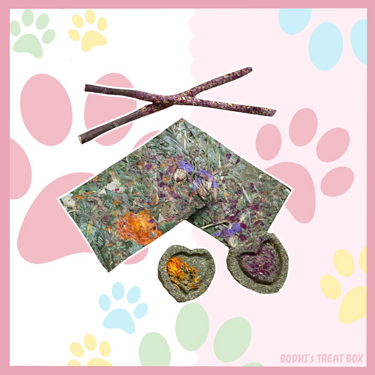 💛 | ‘Tiny Paws’ Goodie Bag