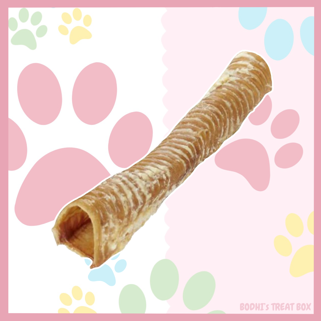 🐮 | Whole Beef Trachea