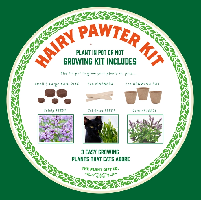 𝗛𝗮𝗶𝗿𝘆 𝗣𝗮𝘄𝘁𝗲𝗿 𝗘𝗰𝗼 𝗚𝗿𝗼𝘄 𝗬𝗼𝘂𝗿 𝗢𝘄𝗻 𝗖𝗮𝘁-𝗙𝗿𝗶𝗲𝗻𝗱𝗹𝘆 𝗚𝗿𝗼𝘄 𝗧𝗶𝗻 𝗞𝗶𝘁