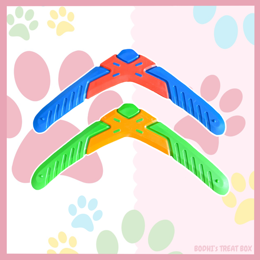 🐶 | Boomerang Dog Toy - (2 colours available)