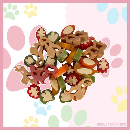 Bodhi’s Veggie Dental Dino Mix