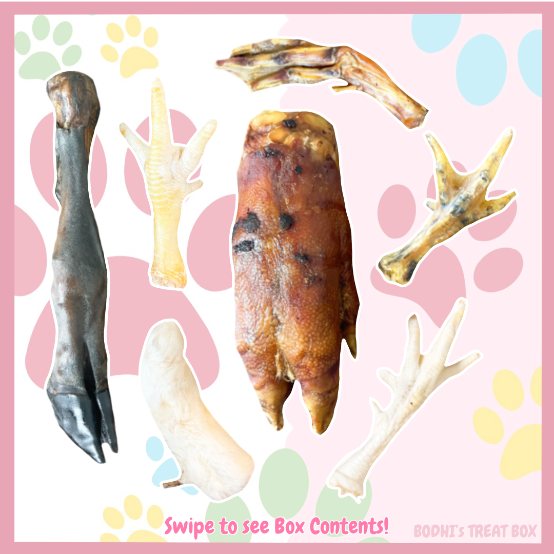 💝 | ‘Foot Fetish’ Natural Dog Treat Box - (Includes 22 Treats)