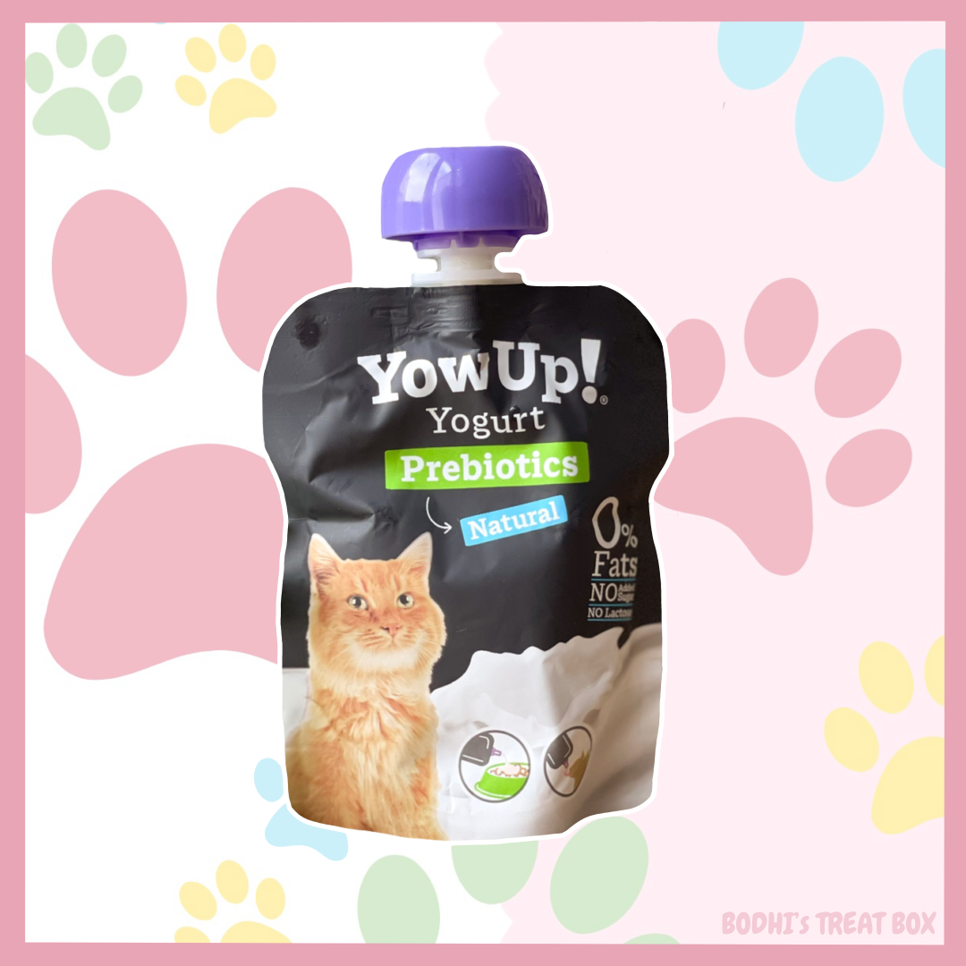 🐱 | YowUp! Natural Prebiotic Cat Yoghurt