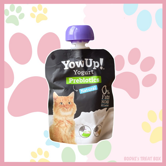 🐱 | YowUp! Natural Prebiotic Cat Yoghurt