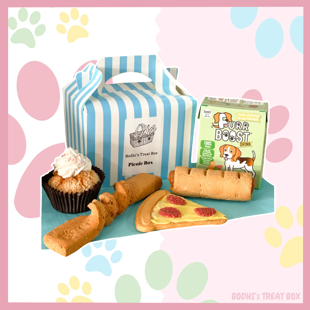 🧺 | Bodhi’s Picnic Box