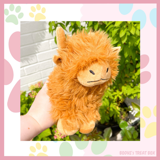 🐮 | Henrietta the Highland Cow - Cuddly, Squeaky & Crinkly Plush Dog Toy