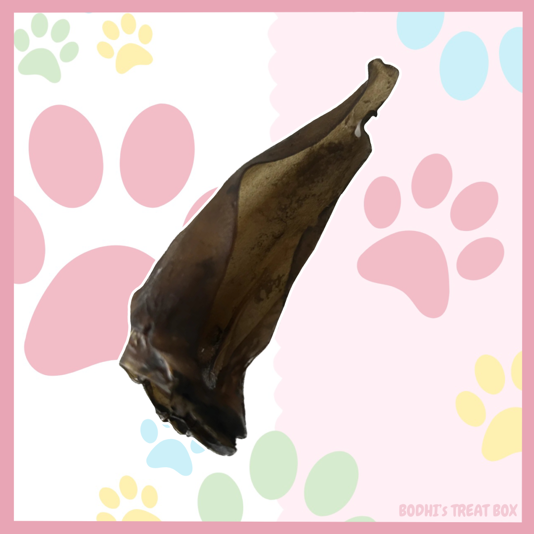 🦌 | Hairless Roe Deer Ears