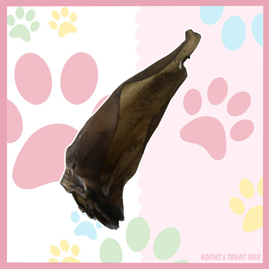 🦌 | Hairless Roe Deer Ears