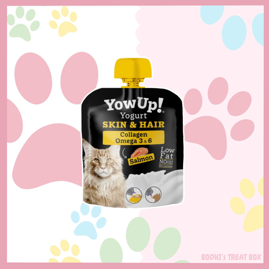 🐱 | YowUp! Skin & Hair Cat Yogurt