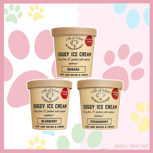 🍦 | Life of Riley’s Doggy Ice Cream - (Different Flavours Available)