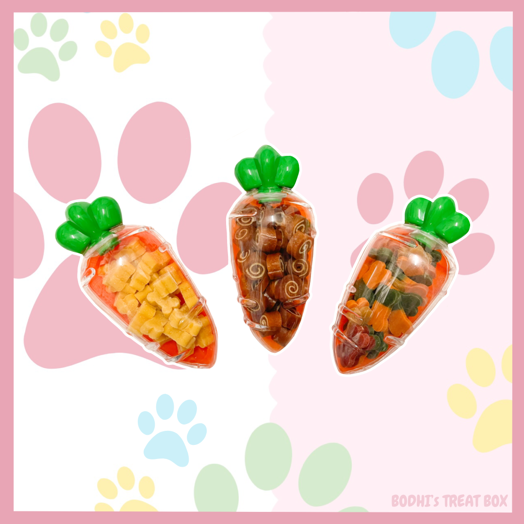 🥕 | Filled Plastic Carrots