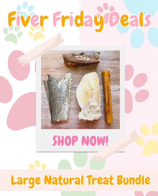 Fiver Friday Deals! ✨